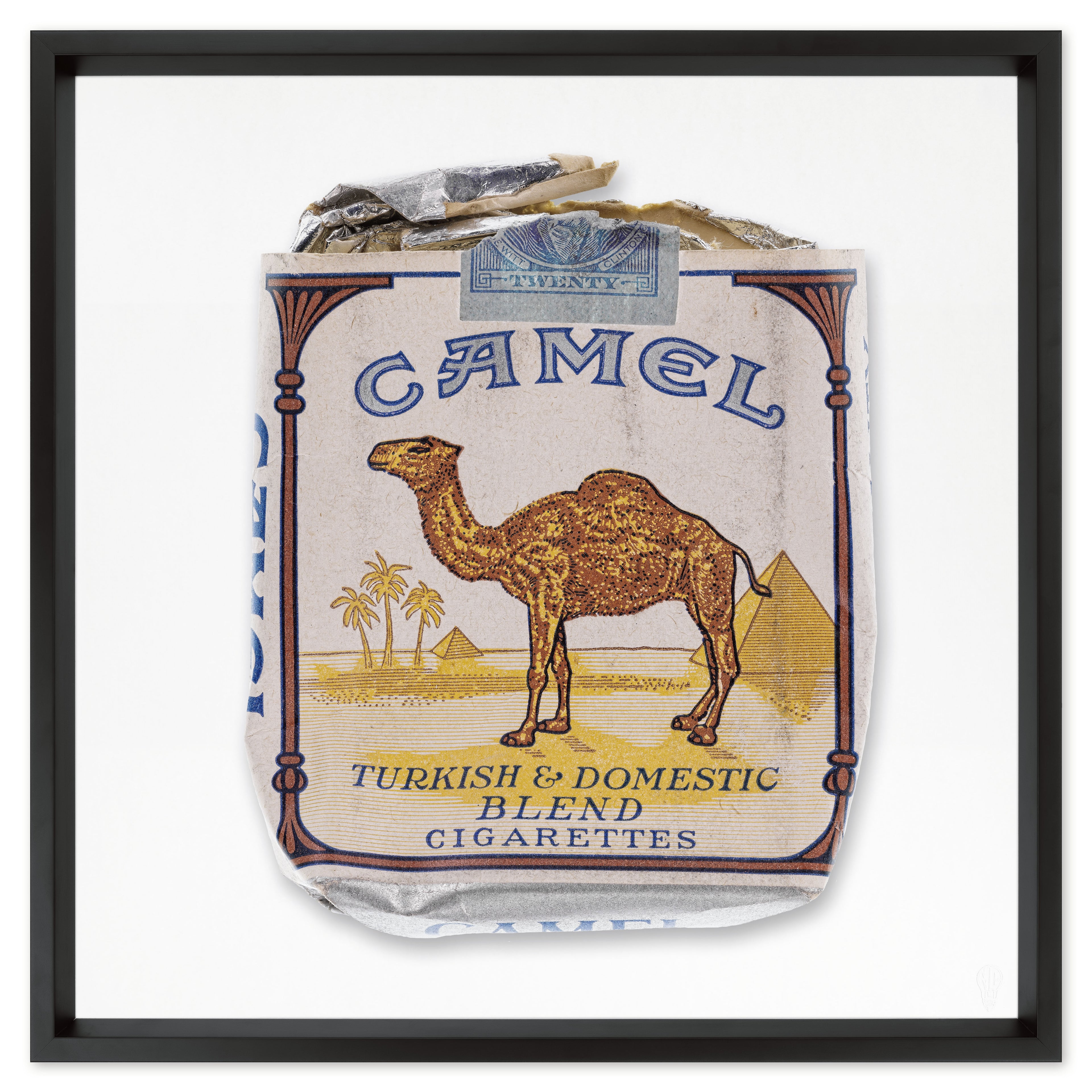 Camel