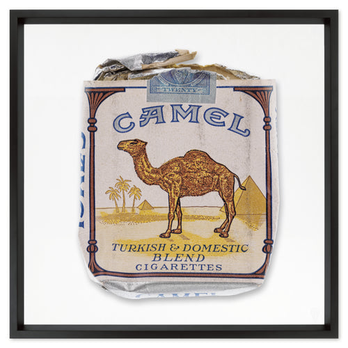 Camel