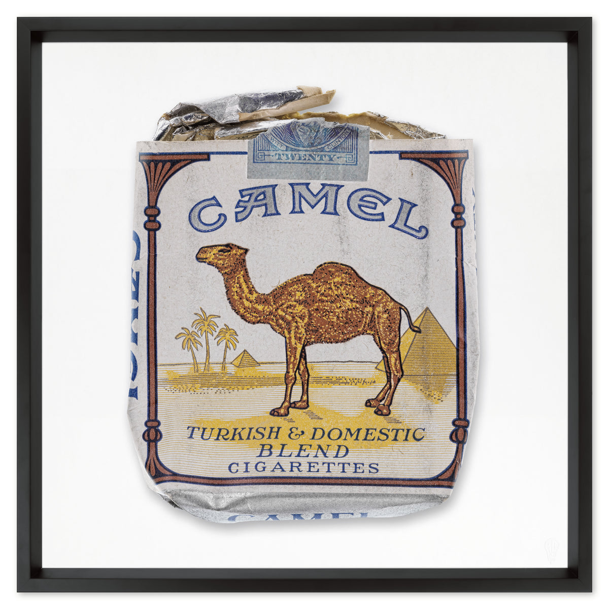 Camel