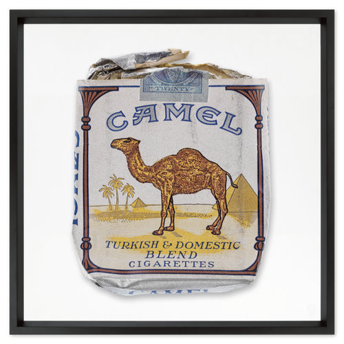 Camel