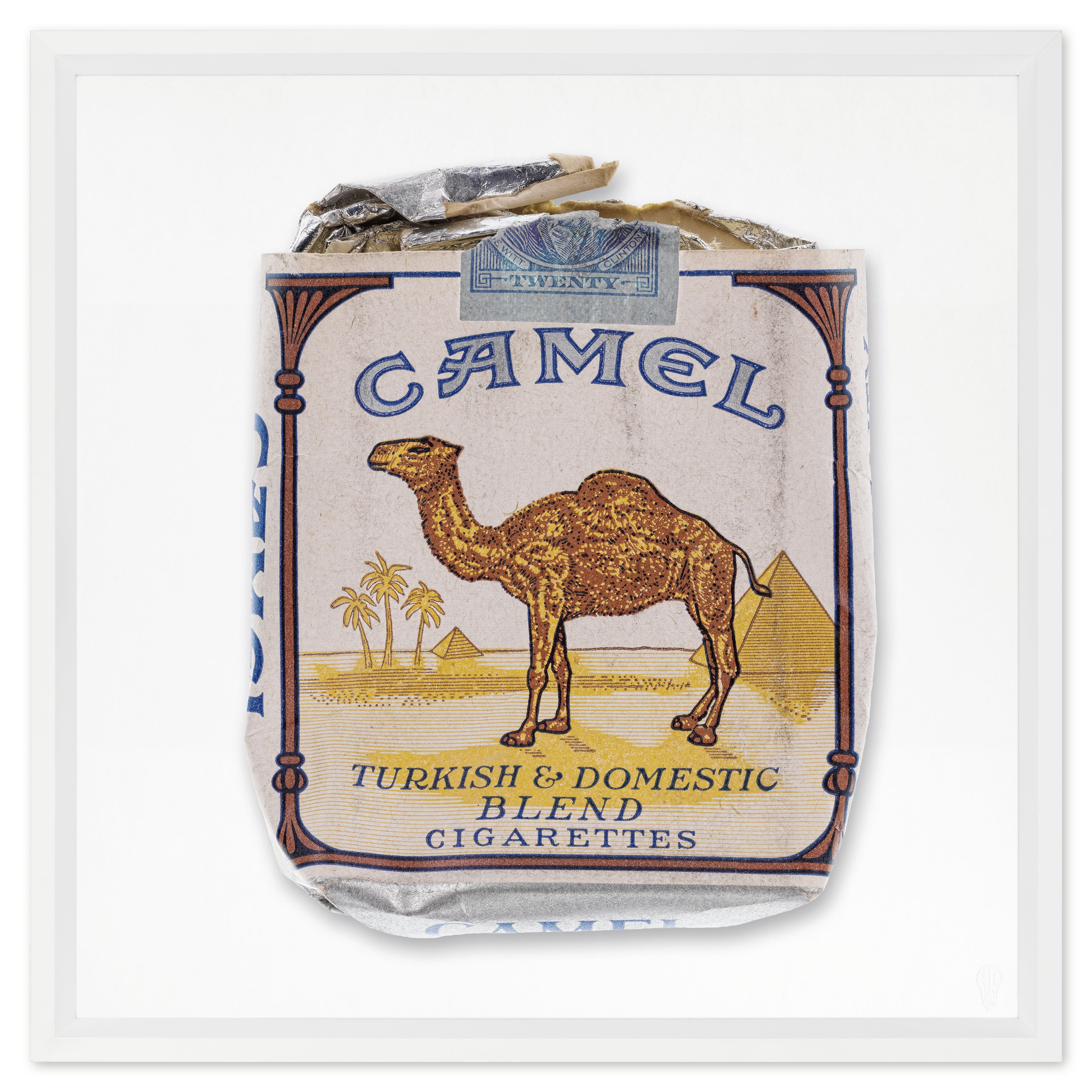 Camel