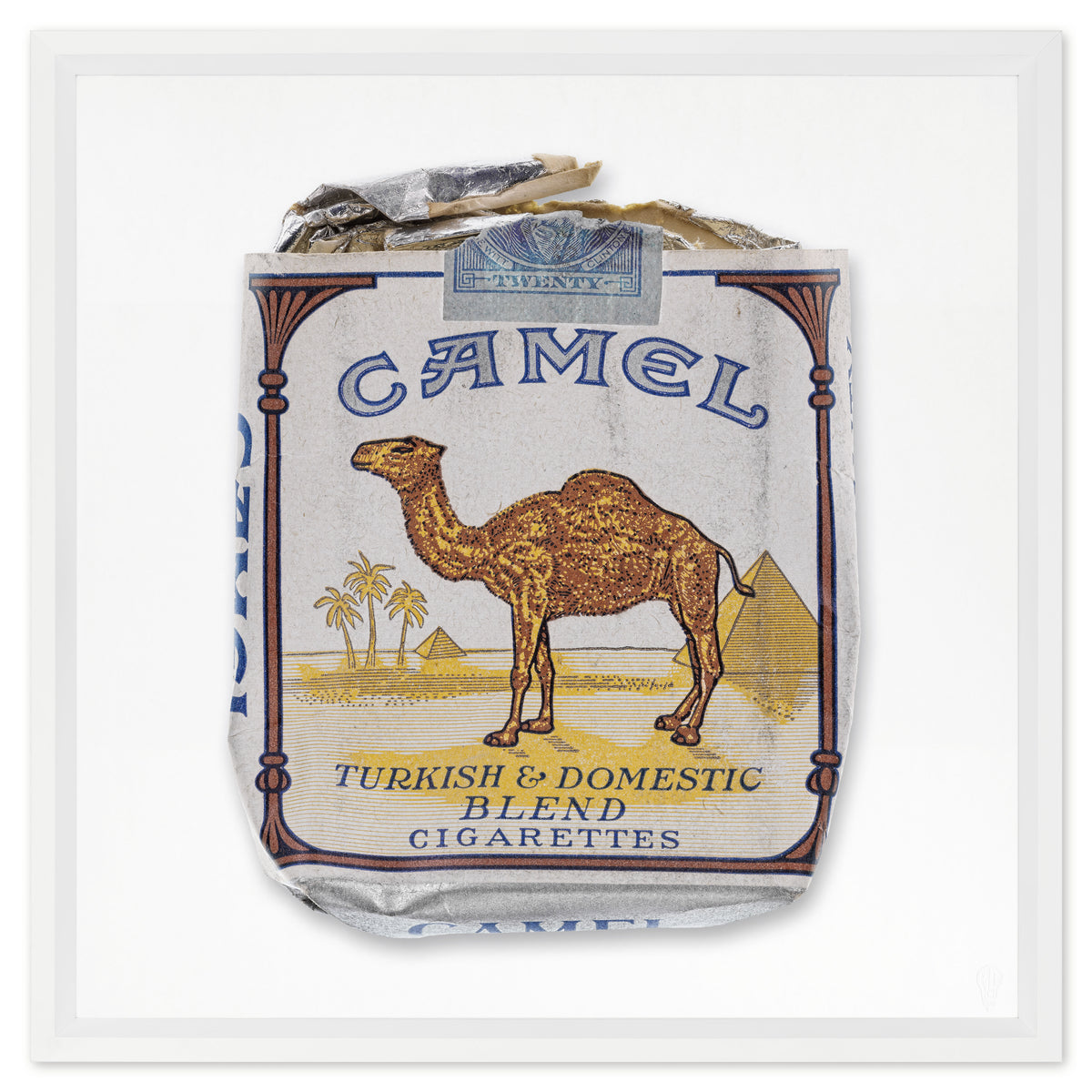 Camel